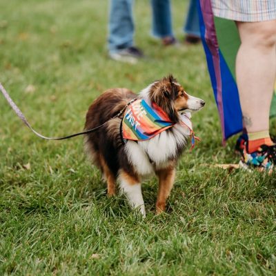 untitled (285 of 429)